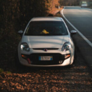 Profile photo of Luigi